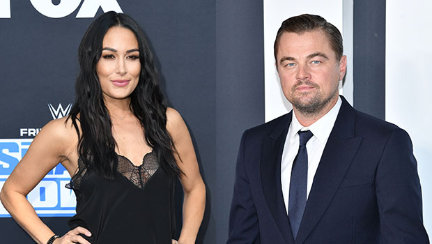 Brie Bella, Leonardo DiCaprio