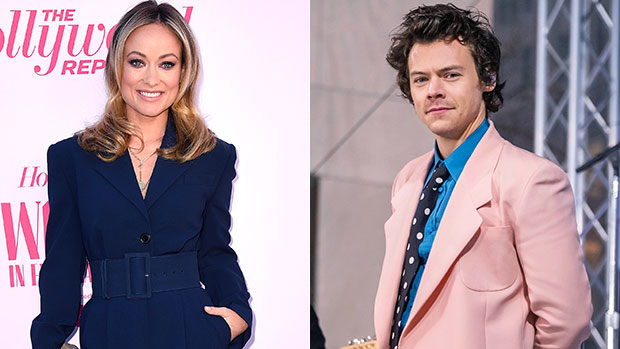 Olivia Wilde, Harry Styles